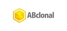 abclonal 로고